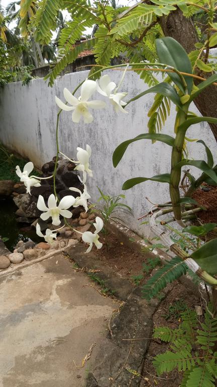 Leisure In Galle Εξωτερικό φωτογραφία