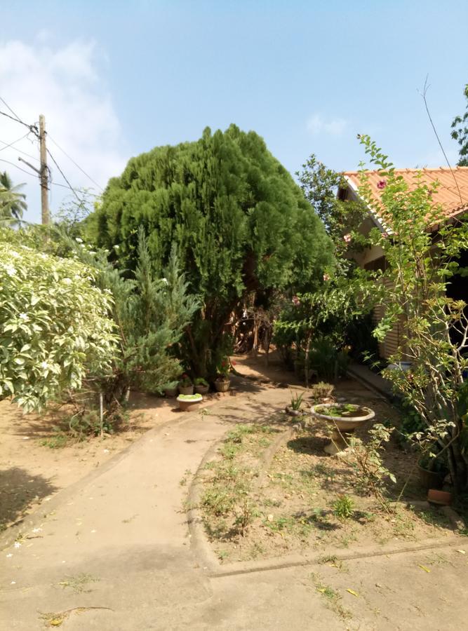 Leisure In Galle Εξωτερικό φωτογραφία